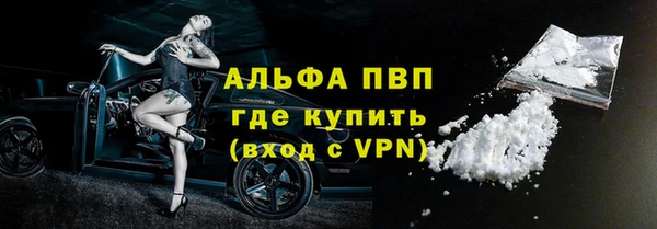 прущие грибы Белоозёрский