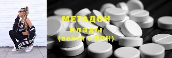 прущие грибы Белоозёрский