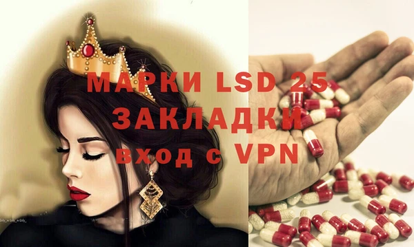 прущие грибы Белоозёрский