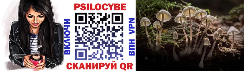 MEGA ссылки  Великий Устюг  Псилоцибиновые грибы Psilocybe 